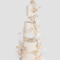 Wedding Cakes $1,000+