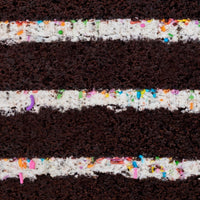 Close-up of the Birthday Oreo Cake by Jenna Rae Cakes, featuring moist chocolate layers, creamy white frosting, and colorful sprinkles between each layer for added texture and fun.