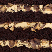 Close-up of Jenna Rae Cakes Peanut Butter Cup Cake, a moist, rich layered chocolate cake with creamy peanut butter filling and chunks of candy between dark chocolate layers.
