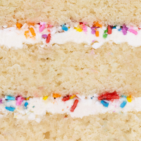 Mini Vanilla Sprinkle Cake