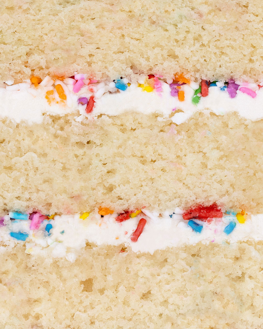 Mini Vanilla Sprinkle Cake