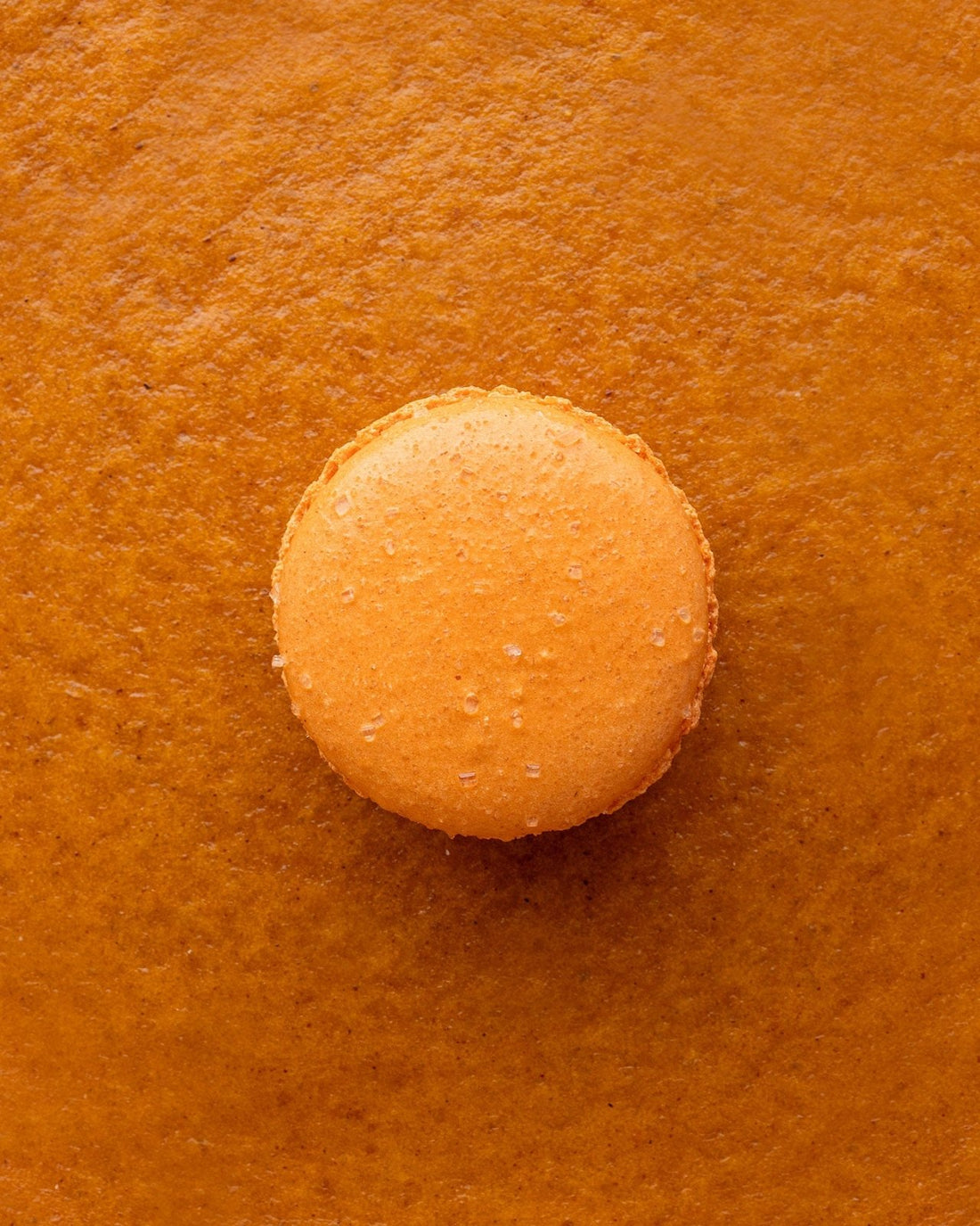 Fall Macaron Gift Box