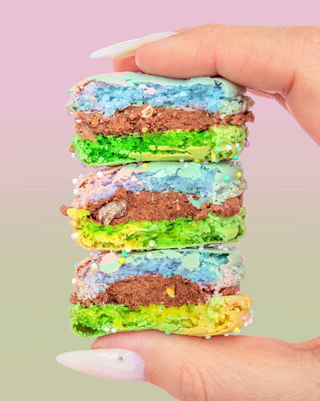 Mini Egg Macaron Gift Box