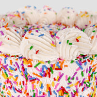 The Mini Vanilla Sprinkle Cake by Jenna Rae Cakes features vibrant rainbow sprinkles and swirls of white frosting on top, set against a simple light background that highlights its colorful decoration.