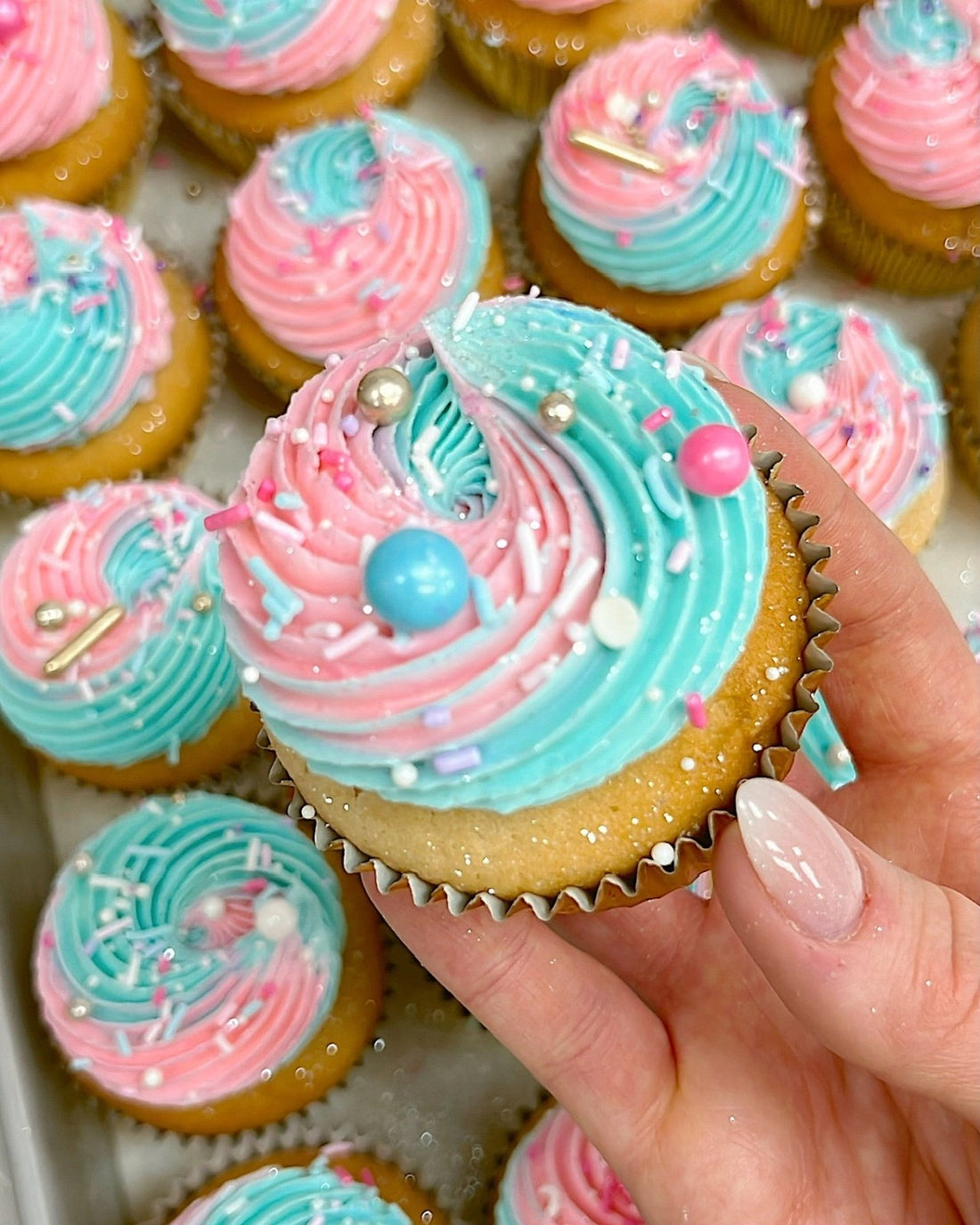 A hand holding a vanilla cupcake with swirled pink and blue frosting, topped with colorful sprinkles and edible pearls. More similarly decorated cupcakes are visible in the background.