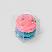 Classic 2-Macaron Box