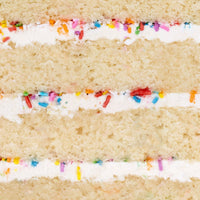 Close-up of Jenna Rae Cakes Vanilla Sprinkle Cake, featuring layers of white frosting and colorful rainbow sprinkles.