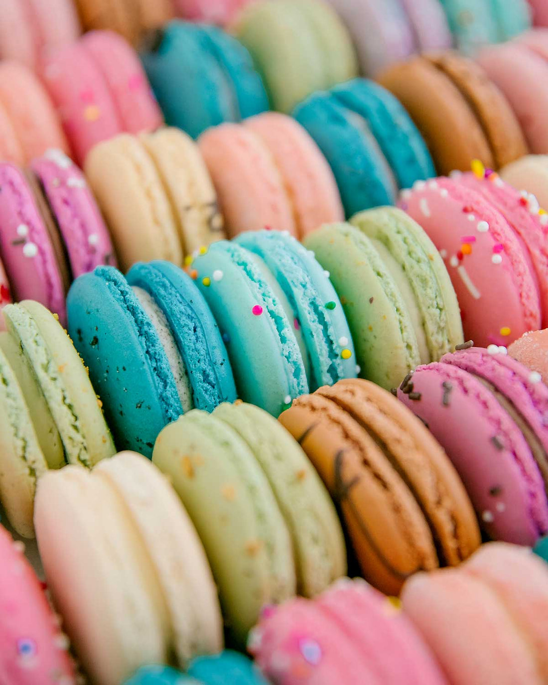 The Macaron Gift Box by Jenna Rae Cakes features rows of colorful pastel macarons in pink, blue, green, and beige, some topped with decorative sprinkles and beautifully arranged for a delightful presentation.