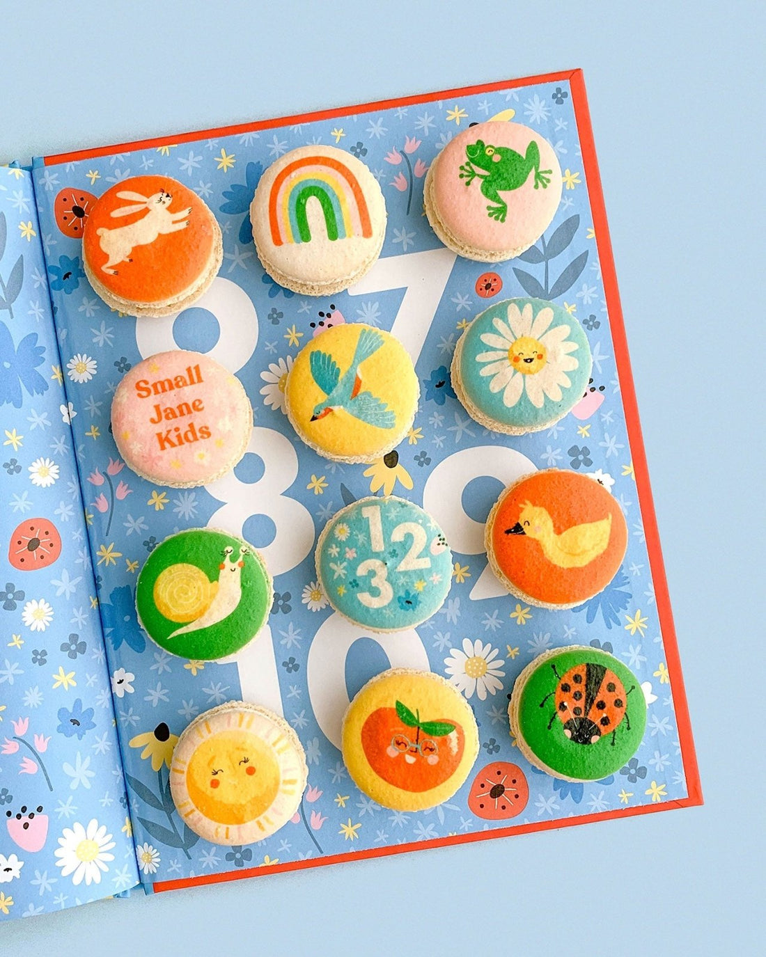 Jenna Rae Cakes Printed Macarons, featuring cute designs like rabbits, rainbows, and ladybugs, are beautifully arranged on an open book with a blue floral and ladybug pattern.
